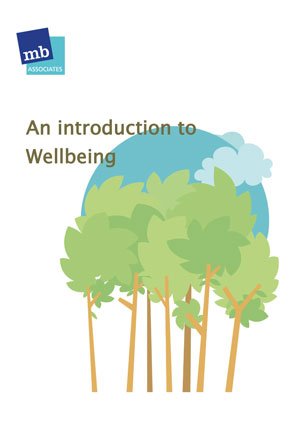 Cover of An Introduction to Wellbeing